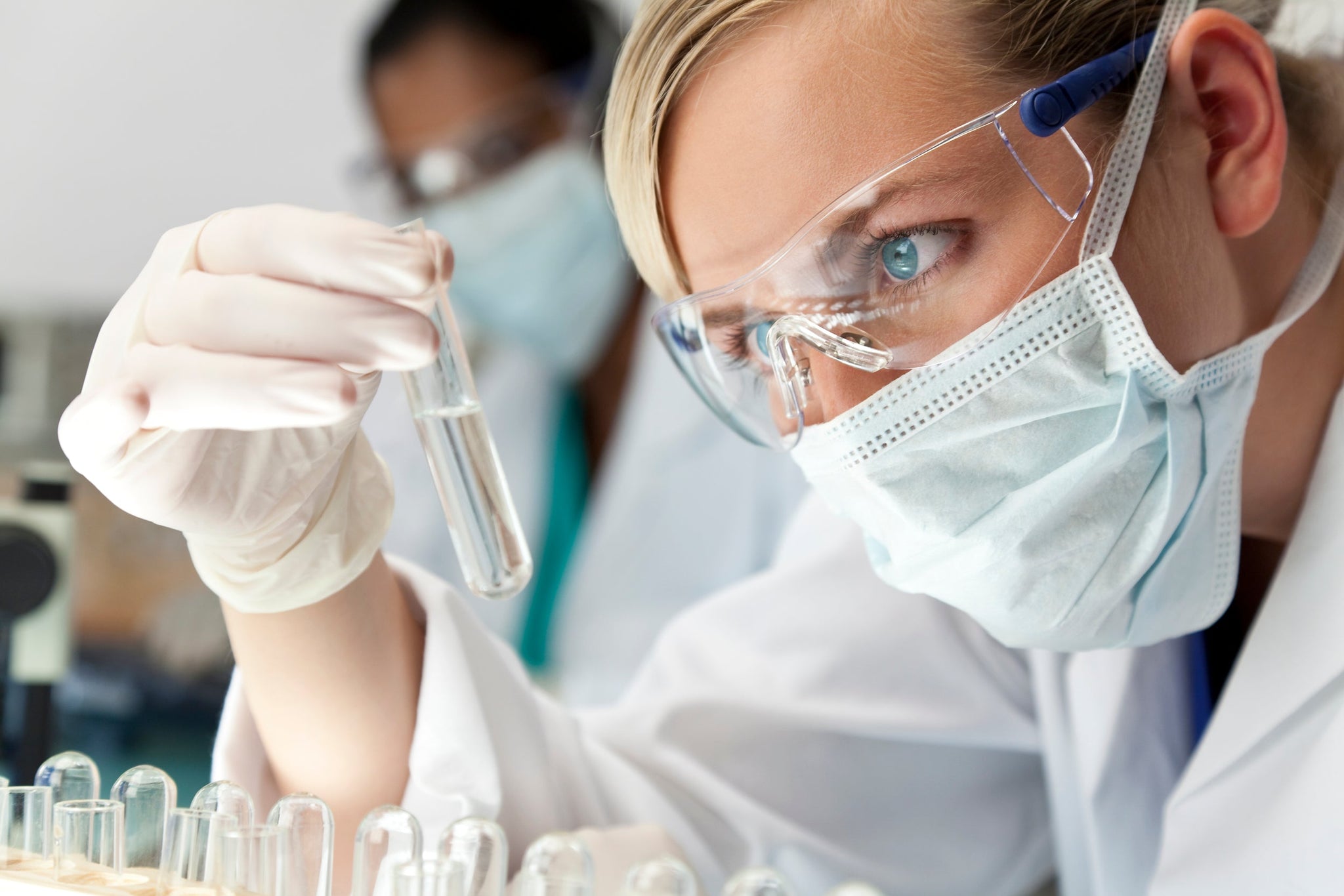 IgG Food Sensitivity Test