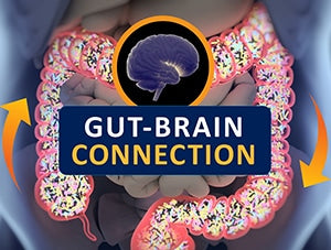 Gut Bacteria May Be Linked to Mood, Behavior in Healthy Humans