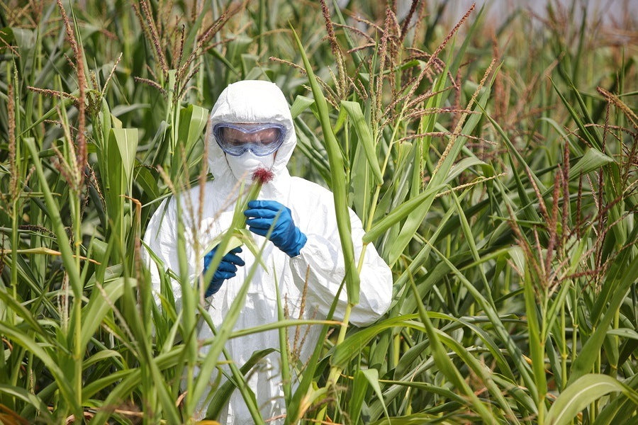 Glyphosate Herbicide Causes Antibiotic Resistant Bacteria, Kidney Disease, and Infertility